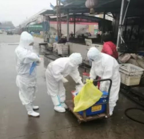 開封宏進(jìn)農(nóng)副產(chǎn)品國(guó)際物流中心 穩(wěn)市場(chǎng) 促民生 保供應(yīng)