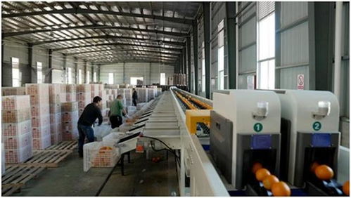 中國減貧四十年 研究報告 中國超5 就業(yè)崗位來自電商