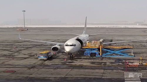 新疆國際貨運包機業(yè)務全面恢復，為國際物流注入新動能